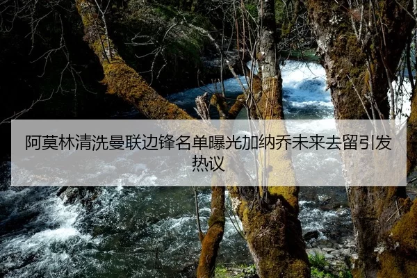 阿莫林清洗曼联边锋名单曝光加纳乔未来去留引发热议