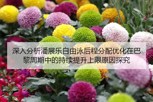 深入分析潘展乐自由泳后程分配优化在巴黎周期中的持续提升上限原因探究