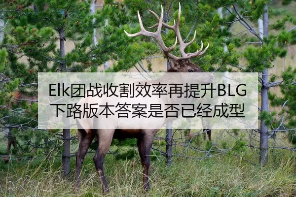 Elk团战收割效率再提升BLG下路版本答案是否已经成型