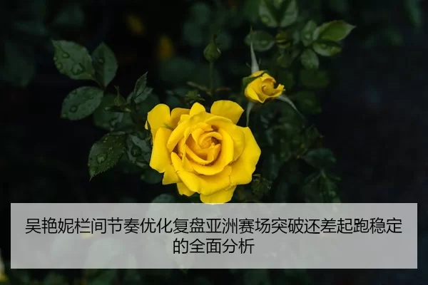 吴艳妮栏间节奏优化复盘亚洲赛场突破还差起跑稳定的全面分析