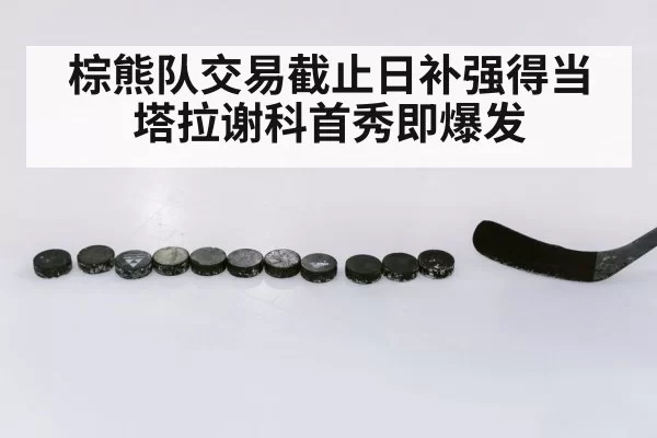 棕熊队交易截止日补强得当塔拉谢科首秀即爆发