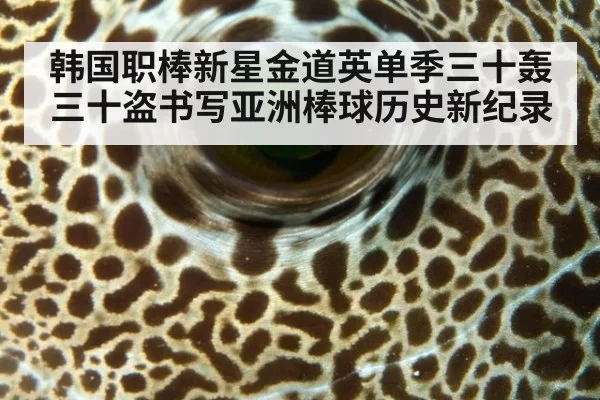 韩国职棒新星金道英单季三十轰三十盗书写亚洲棒球历史新纪录